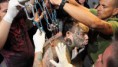 /album/fotogaleria/tabu-latam-00070-512x288-la-jpg/